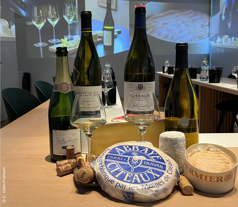 accords-fromages-et-vins-blancs-de-bourgogne-150850